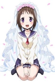 Okusama ga Seitokaichou!: Temporada 1