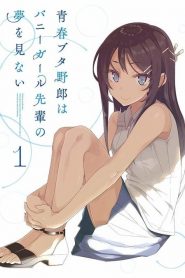 Seishun Buta Yarou wa Bunny Girl Senpai no Yume wo Minai: Temporada 1