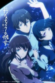 Domestic na Kanojo: Temporada 1