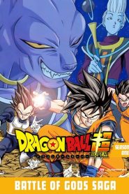 Dragon Ball Super Temporada 1