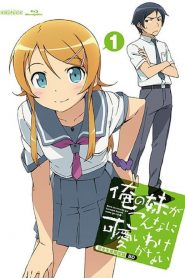 Ore no Imouto ga Konna ni Kawaii Wake ga Nai Temporada 1
