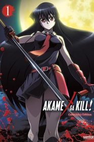 Akame ga Kill! Temporada 1