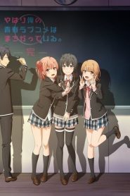 Yahari Ore no Seishun Love Come wa Machigatteiru