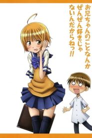 Oniichan no Koto nanka Zenzen Suki ja Nai n da kara ne!! Temporada 1