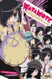 Watashi ga Motenai no wa Dou Kangaetemo Omaera ga Warui Temporada 1