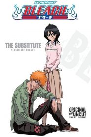 Bleach Temporada 1