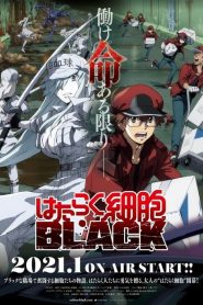Hataraku Saibou Black Temporada 1