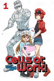 Hataraku Saibou Temporada 1