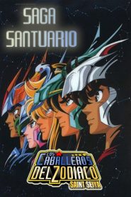 Los Caballeros del Zodiaco Temporada 1