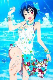 Nisekoi Temporada 2