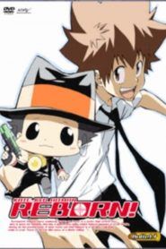 Katekyo Hitman Reborn! Temporada 1