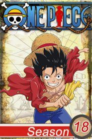 One Piece Temporada 18