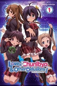 Chuunibyou demo Koi ga Shitai! Temporada 1