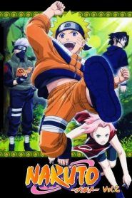 Naruto Temporada 2
