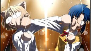 Descargar los animes de la web