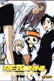 Katekyo Hitman Reborn! Temporada 5