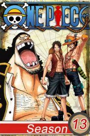 One Piece Temporada 13