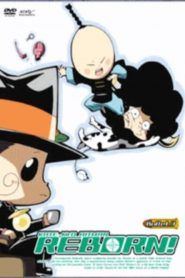 Katekyo Hitman Reborn! Temporada 3