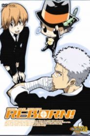 Katekyo Hitman Reborn! Temporada 4