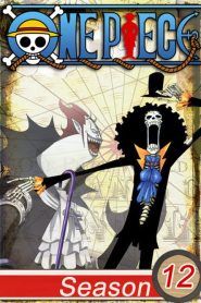 One Piece Temporada 12