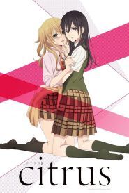 Citrus Temporada 1