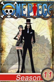 One Piece Temporada 11
