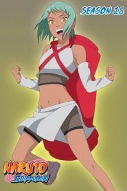 Naruto Shippuden Temporada 18