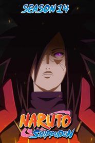 Naruto Shippuden Temporada 14