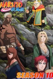 Naruto Shippuden Temporada 10
