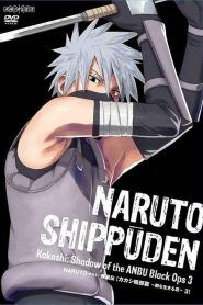 Naruto Shippuden Temporada 16