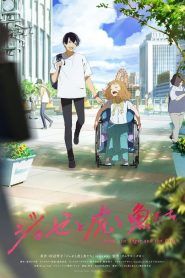 Josee to Tora to Sakana-tachi