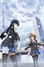 White album 2 Temporada 1
