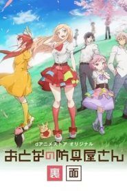 Otona no Bouguya-san (Rimen) Temporada 1