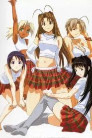 Love Hina Temporada 1