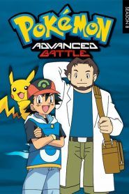 Pokémon Temporada 8