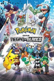 Pokémon Temporada 14
