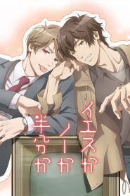 Yes ka No ka Hanbun ka (Yes, No, or Maybe?)