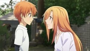 Fruits Basket: The Final Cap 8