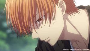Fruits Basket: The Final Cap 9