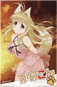 Kanokon Temporada 1