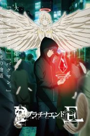 Platinum End