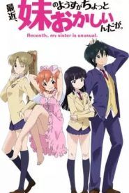 Saikin, Imouto no Yousu ga Chotto Okashiinda ga Temporada 1