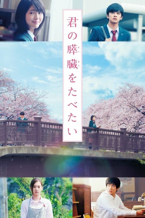 Kimi no Suizou wo Tabetai Live Action