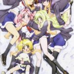 Girls Bravo