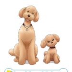 Dog Signal